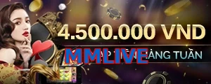 MMLIVE