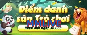 MMLIVE