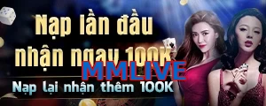 MMLIVE